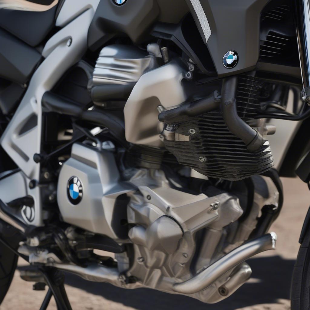 Động cơ BMW 800 GS