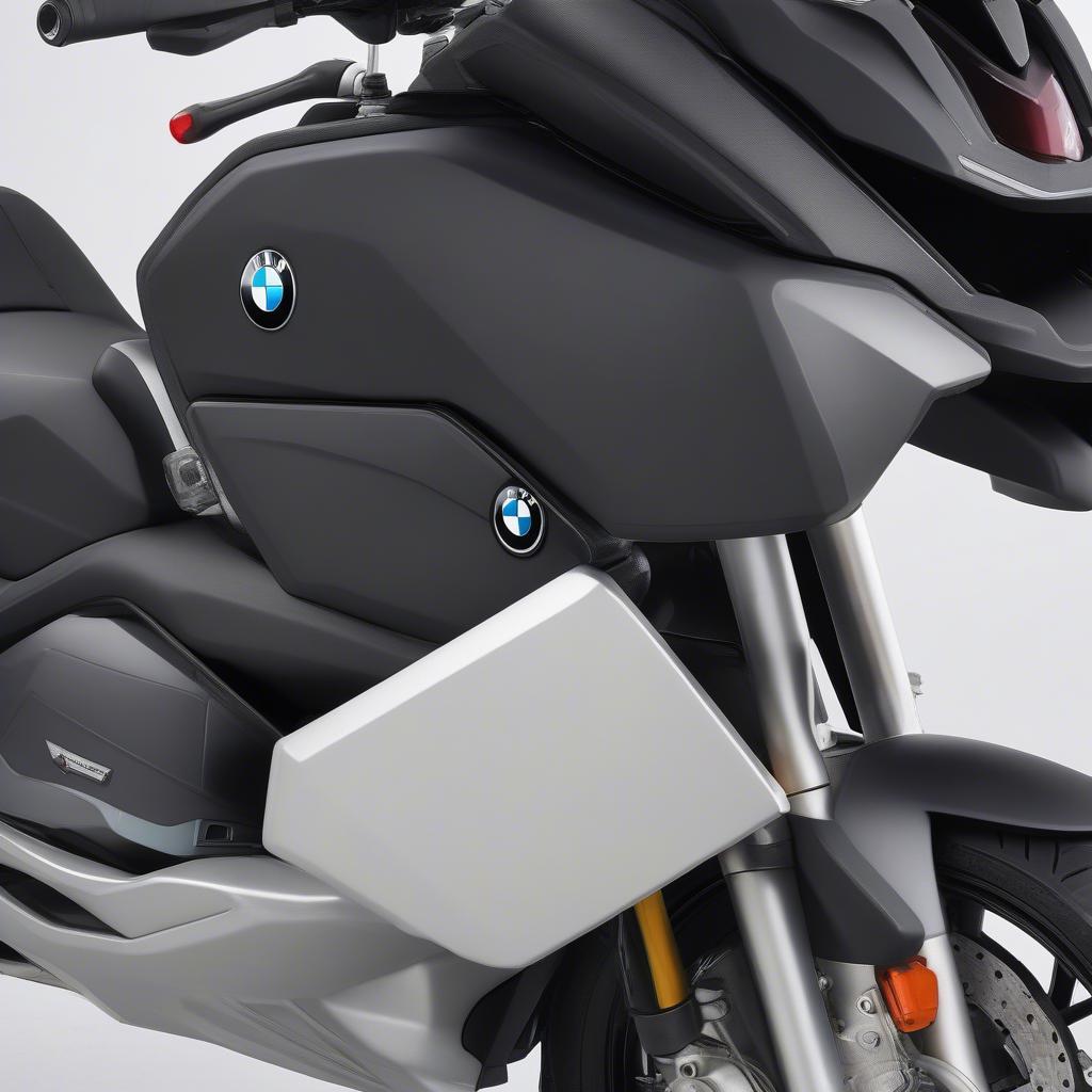 FlexCase của BMW C600 2017