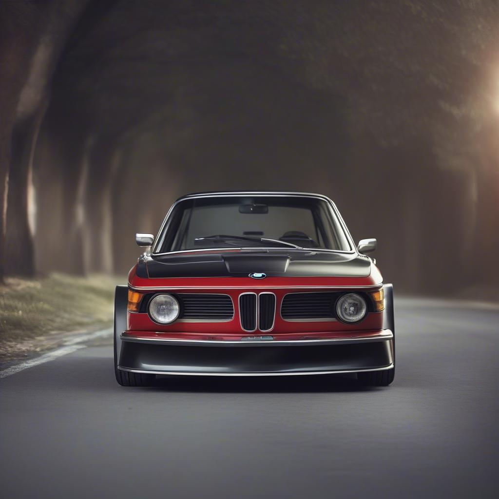 BMW CSL 1975 Ngoại Thất