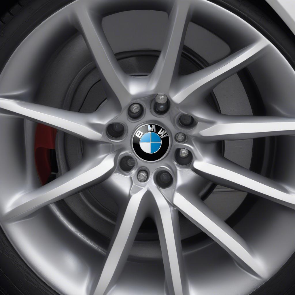 BMW Double Spoke 361 Wheel tăng giá trị cho xe BMW