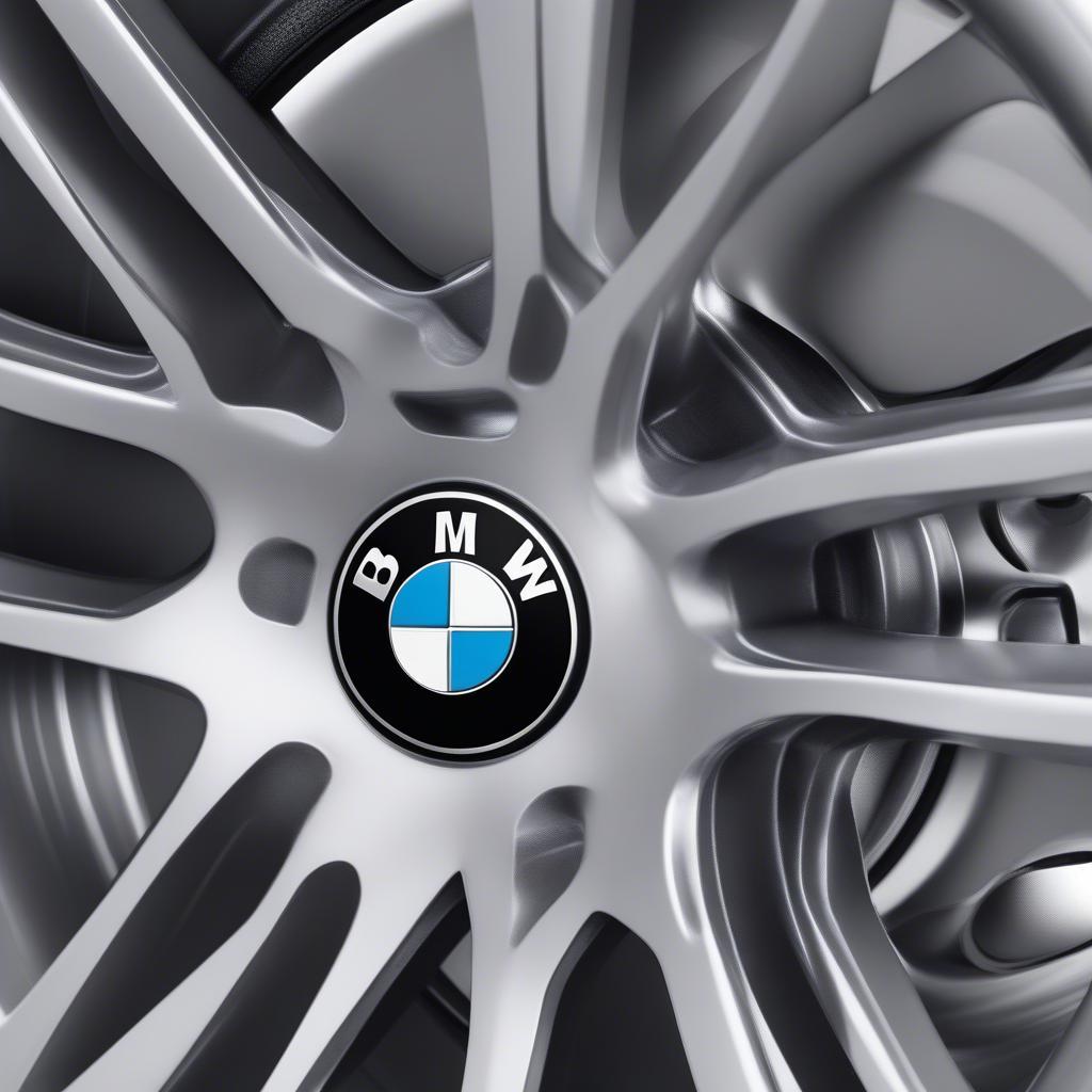 Thiết kế tinh tế của BMW Double Spoke 361 Wheel