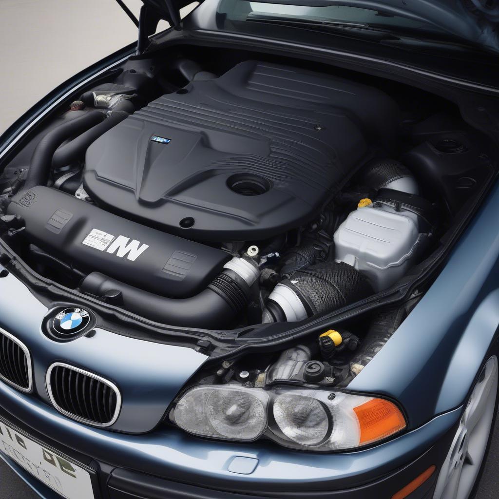 BMW E46 325i 2004 Động cơ