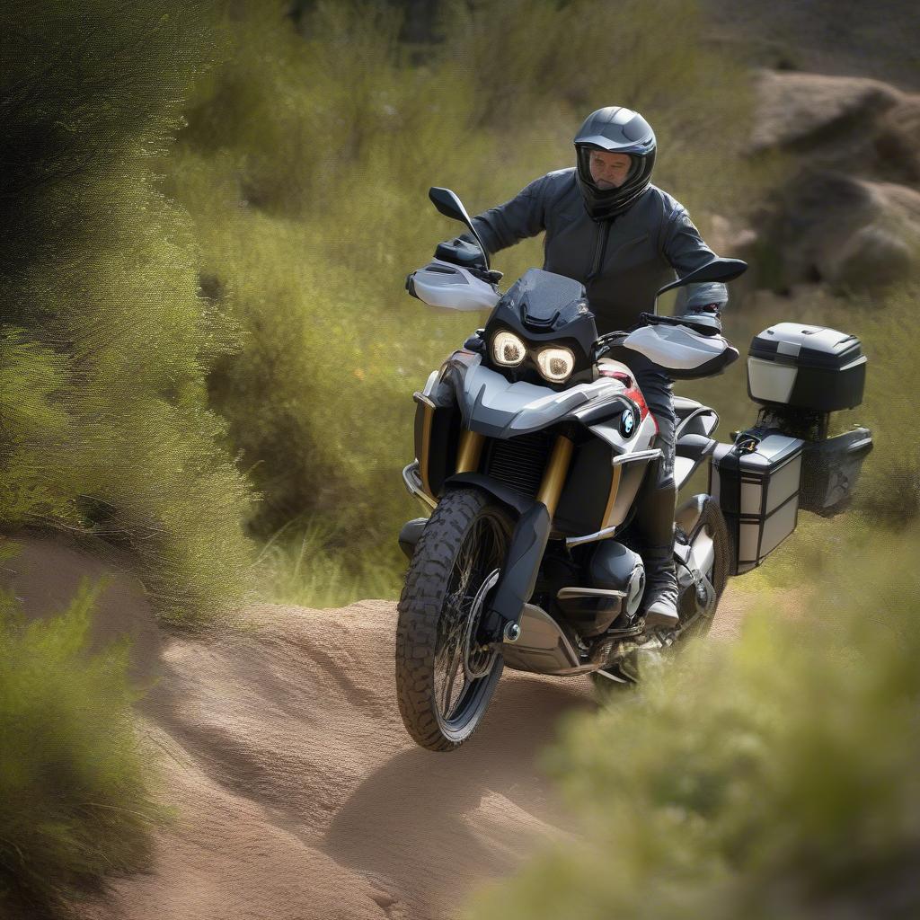 BMW F 700 GS 2019: Off-road