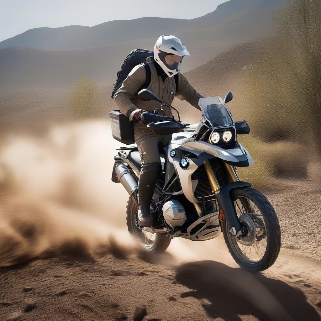 BMW F 800 GS 2017 Off-road