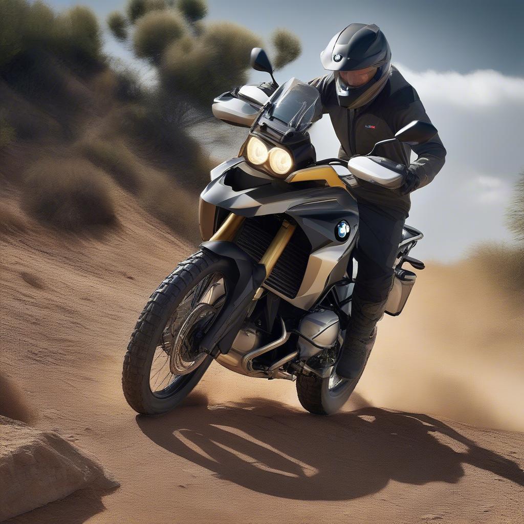 BMW F750GS trên địa hình off-road