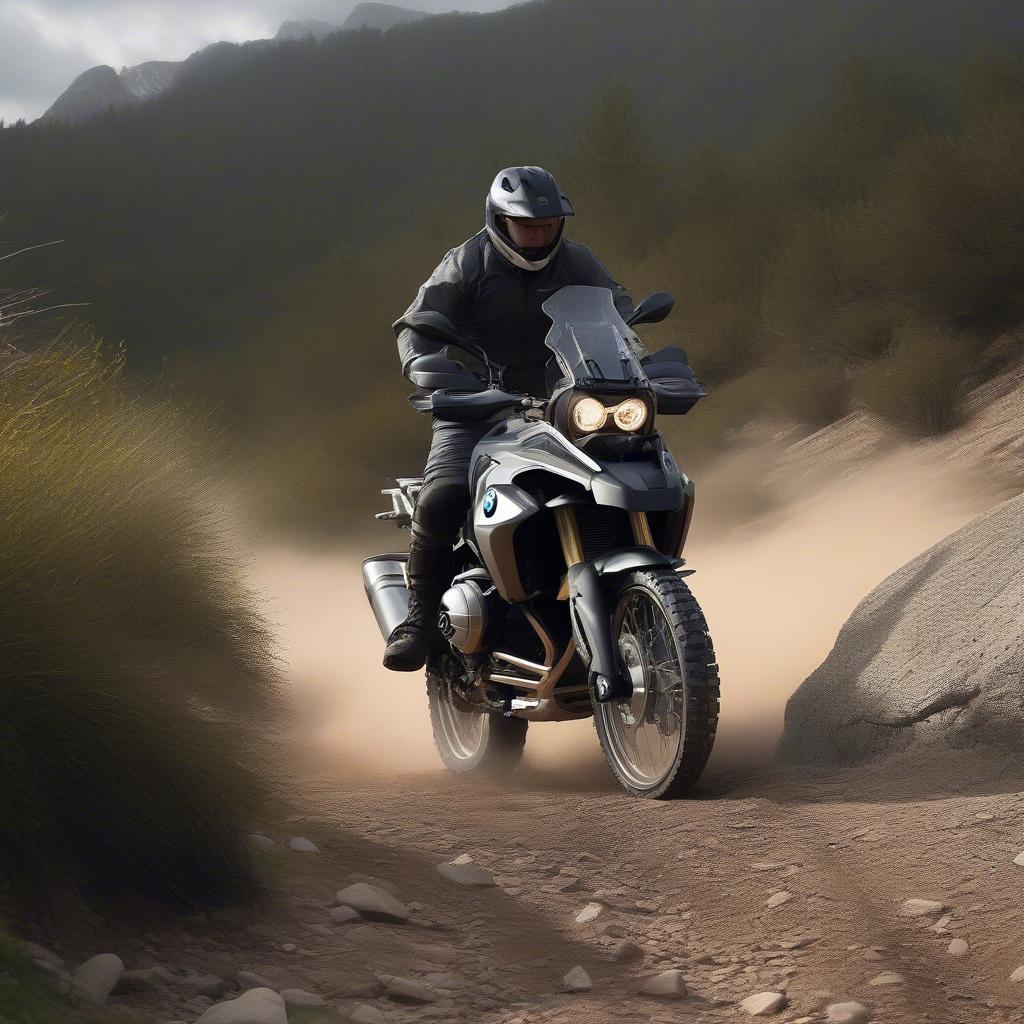 BMW F750GS chinh phục địa hình off-road