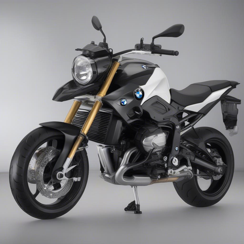 Thiết kế BMW F800R 2016