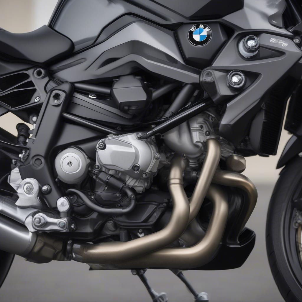 Động cơ BMW F800R 2019