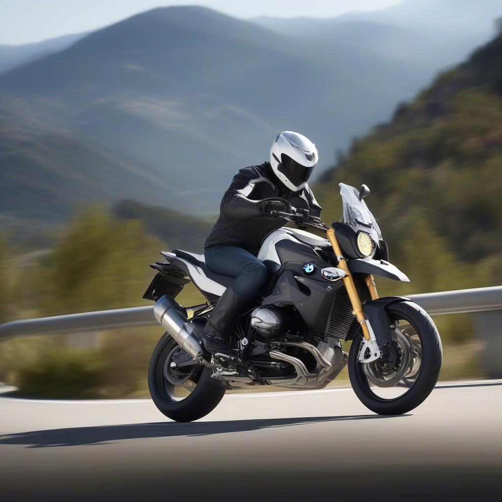 BMW F800R Mạnh Mẽ Cá Tính