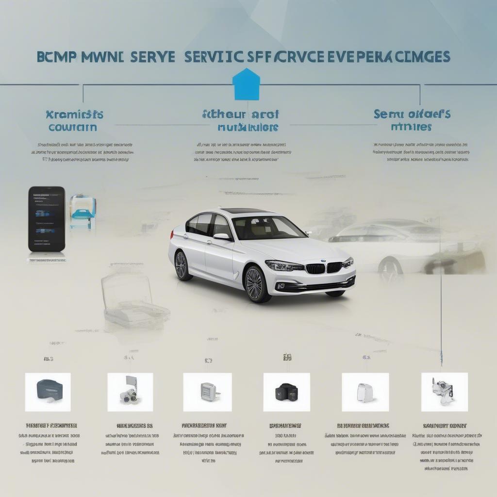 Các gói dịch vụ BMW Fremont Service: Cơ bản, toàn diện, tùy chọn.