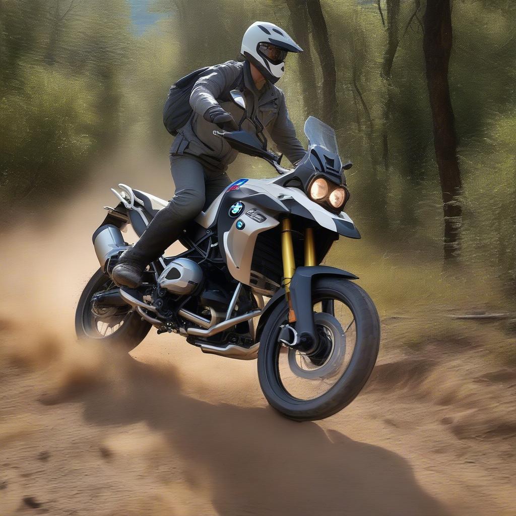 BMW G 310 GS 2018 Offroad