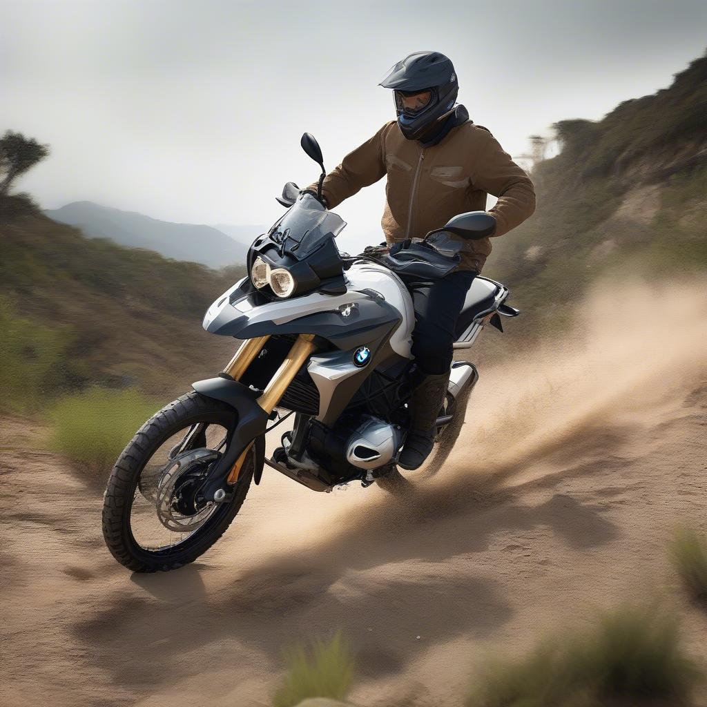 BMW G310GS Off-road