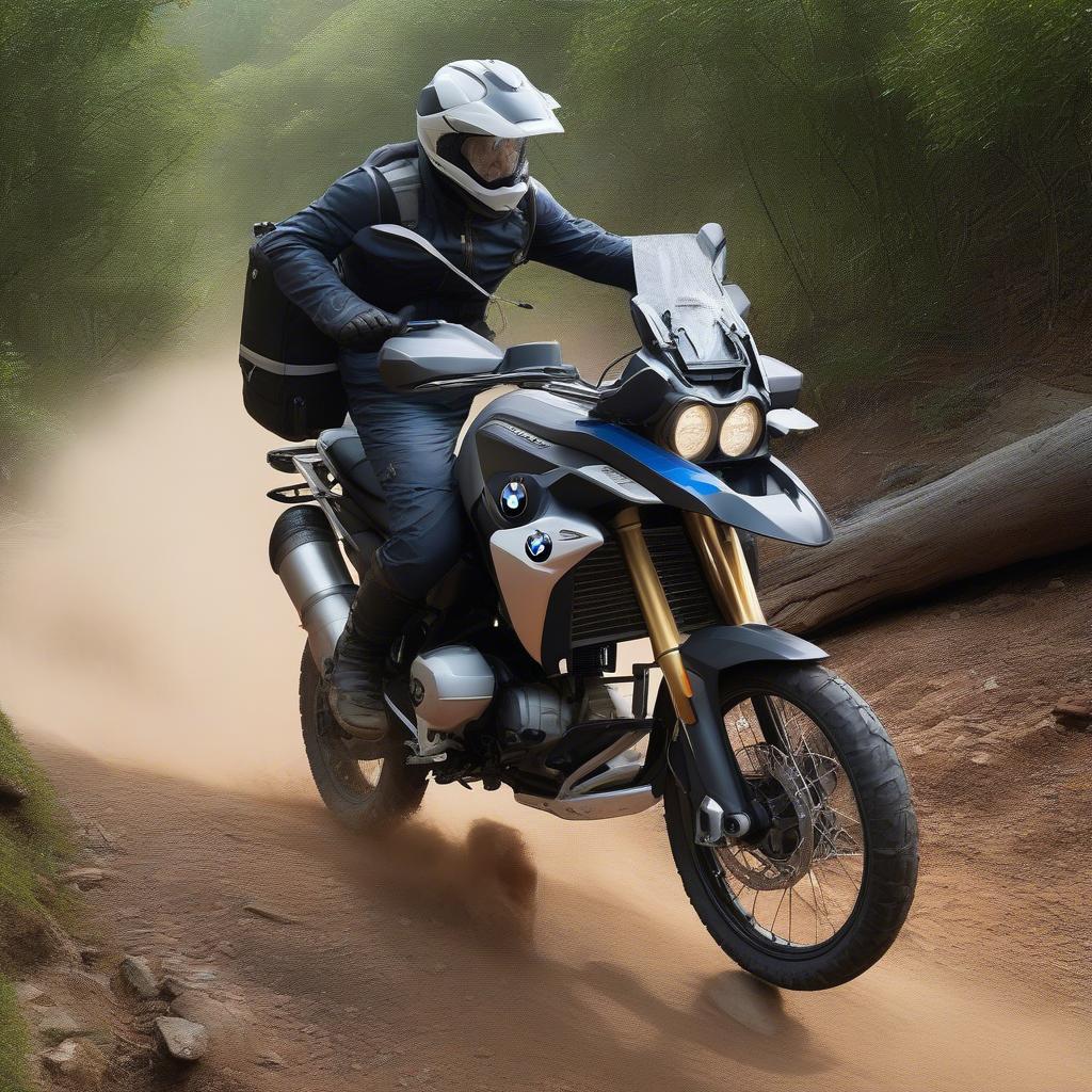 BMW G310GS Off-road