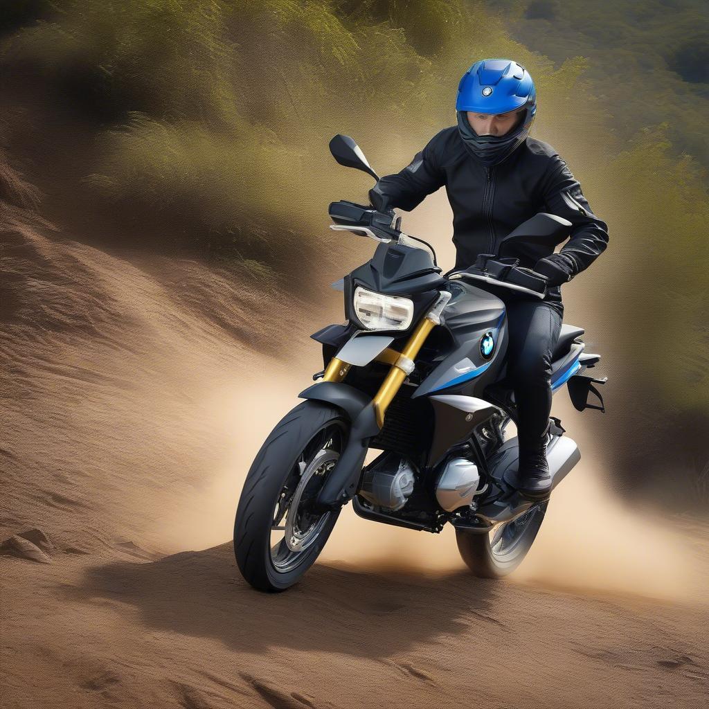 BMW G310R Black Colour: Khả năng Off-road