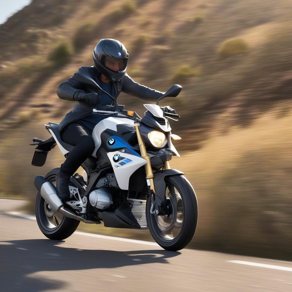 BMW G310R Mạnh Mẽ Linh Hoạt