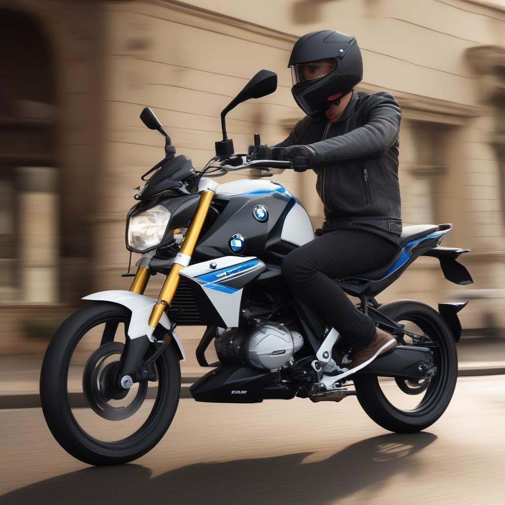 Thiết kế BMW G310R