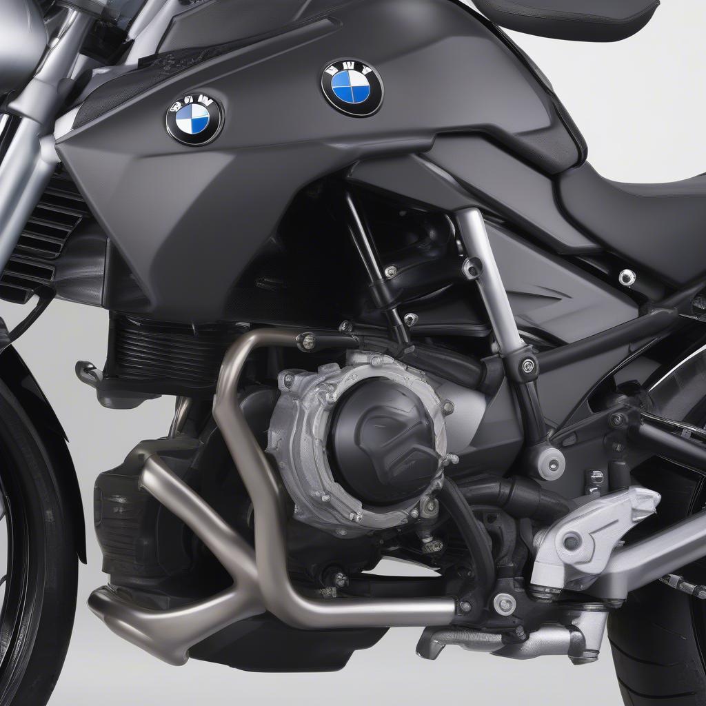 Động cơ BMW G650 XChallenge