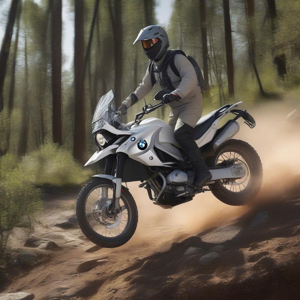 BMW G650 XChallenge Off-road