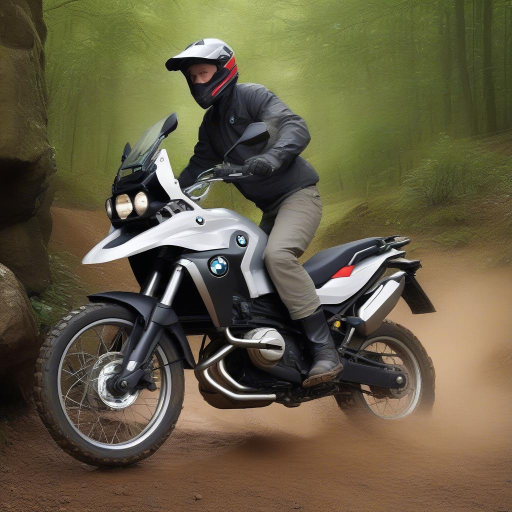 BMW G650GS trên đường off-road