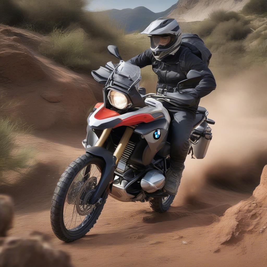 BMW GS G310 Off-road