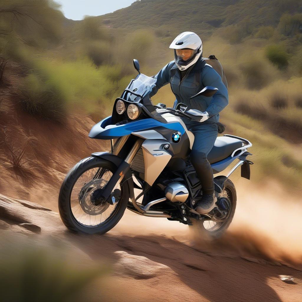 BMW GS310 mạnh mẽ trên đường off-road