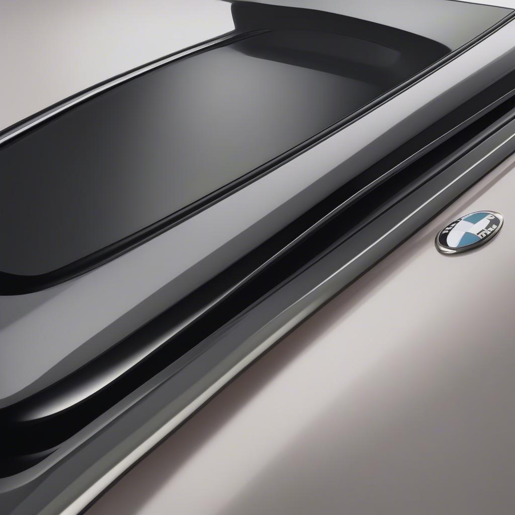 BMW Individual Roof Rails High Gloss Shadow Line Gần Cảnh