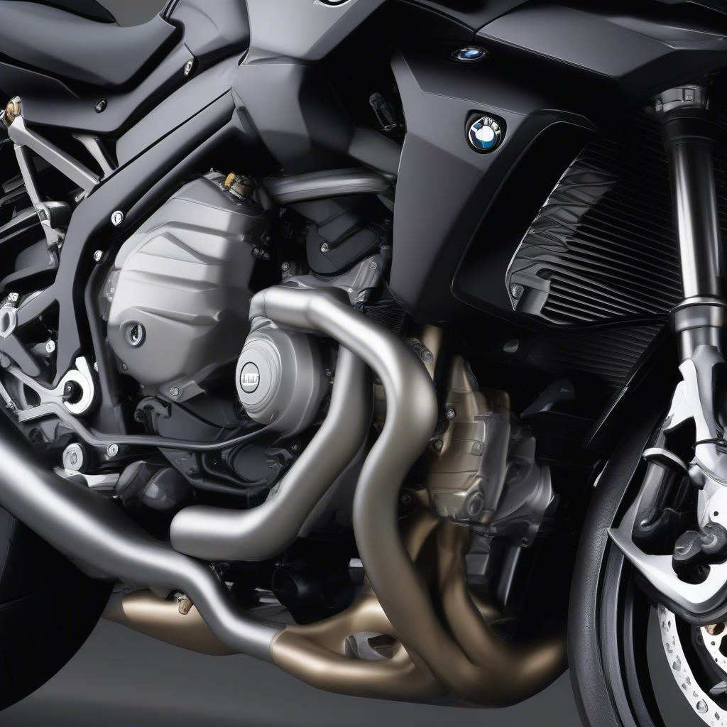 Động cơ BMW K1300R