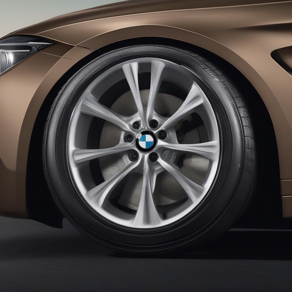 Lựa chọn BMW La Wheel M Double Spoke 343 cho xế yêu