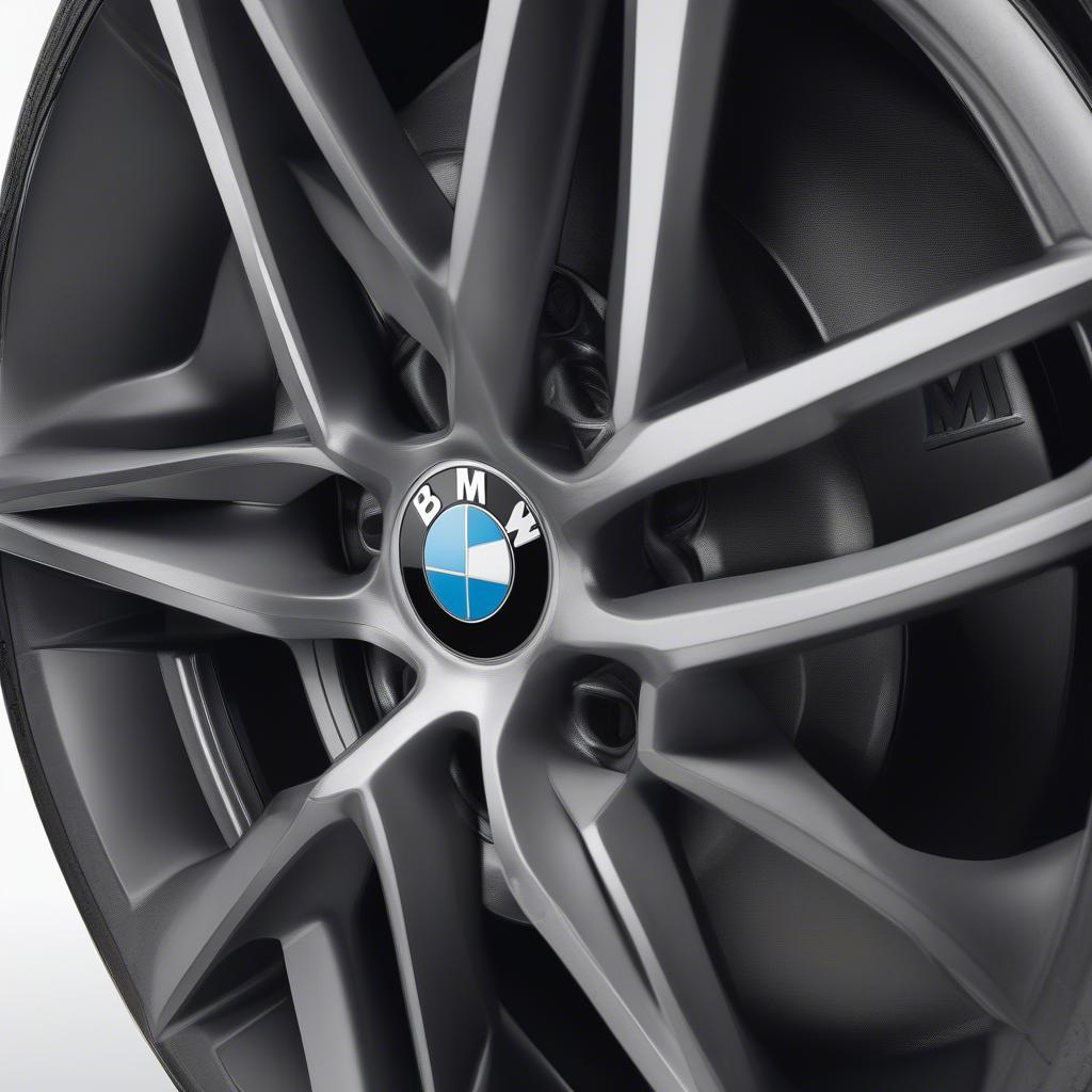 Thiết kế độc đáo của BMW La Wheel M Double Spoke 343