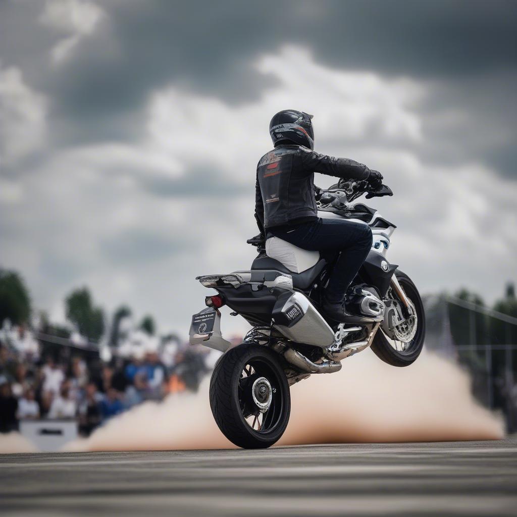 Màn biểu diễn xe đầy kỹ thuật tại BMW Motorrad Day 2018