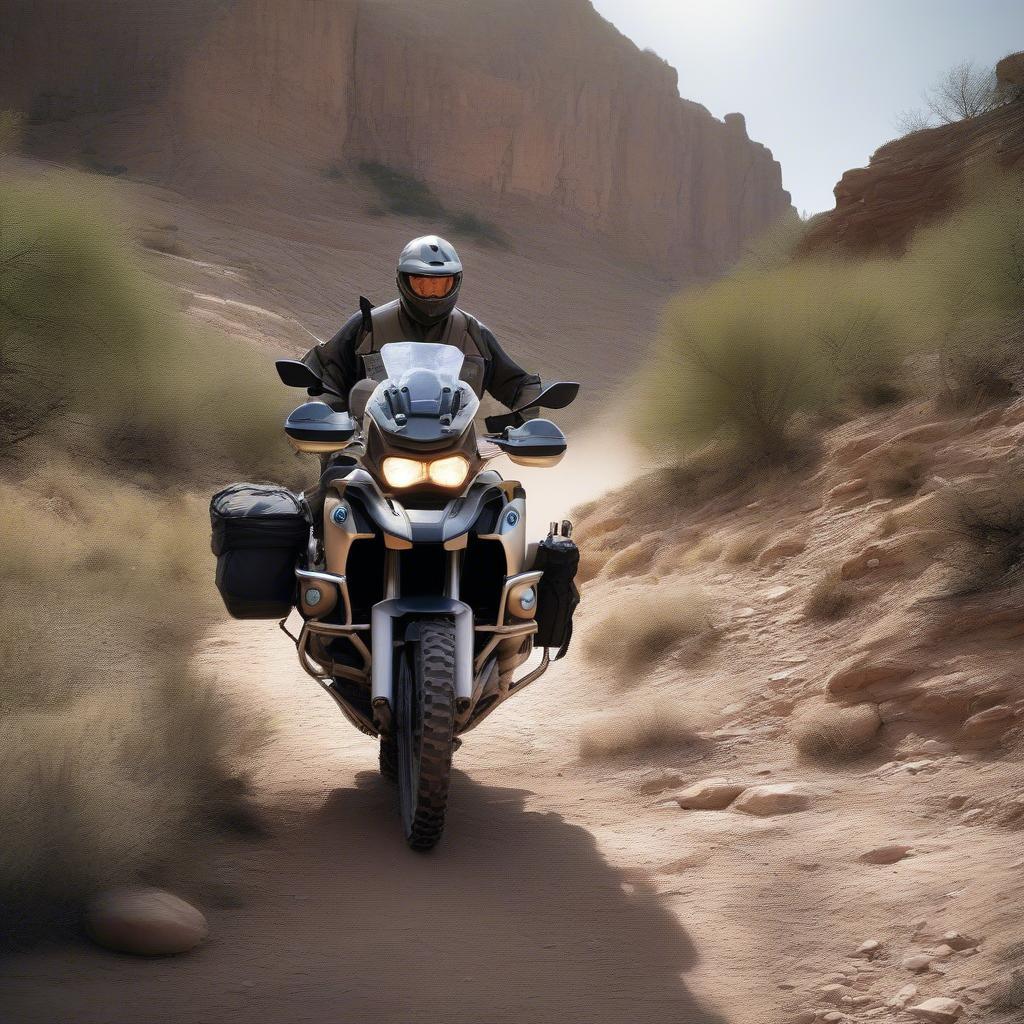 BMW R 1200 GS chinh phục địa hình off-road