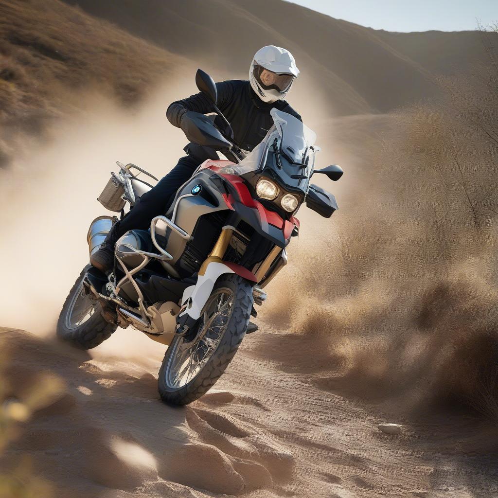 BMW R 1250 GS 2019 Off-road