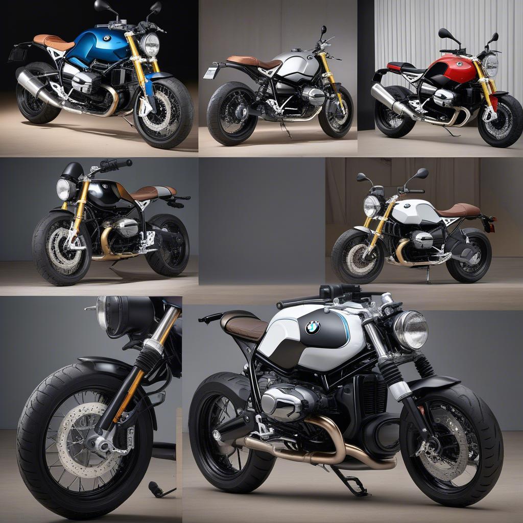 BMW R nineT 2017 Độ xe cá tính