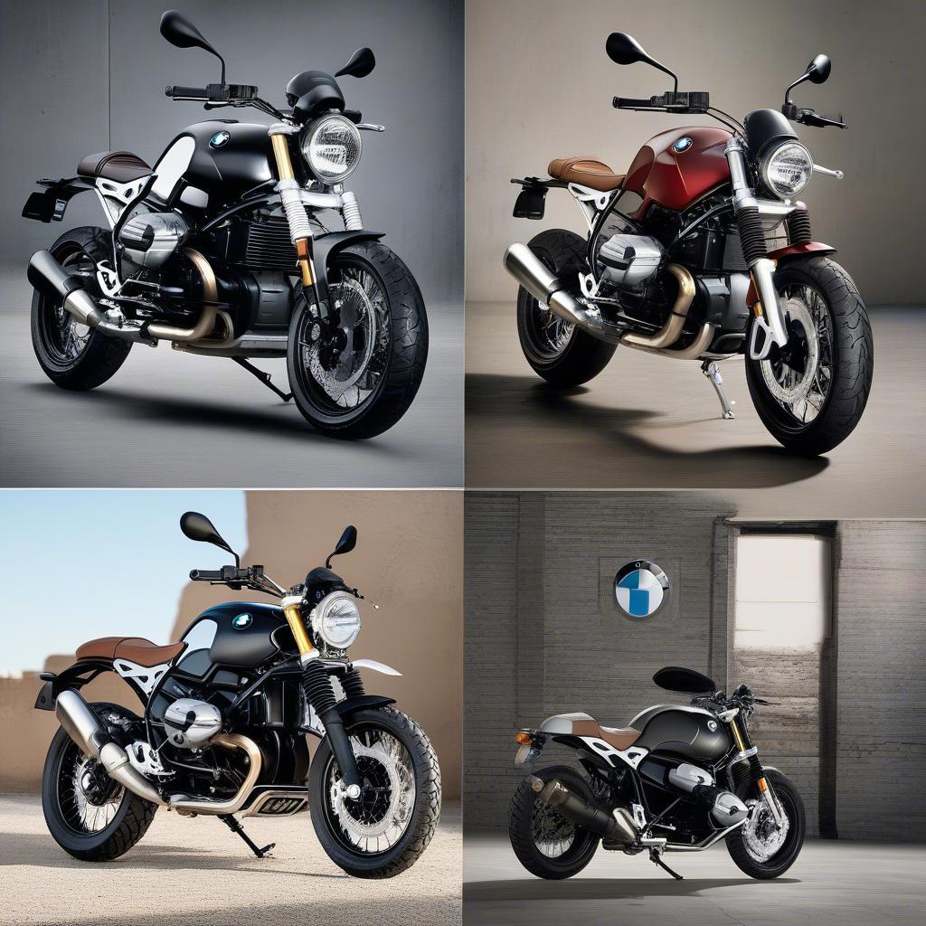 Các phiên bản BMW R nineT