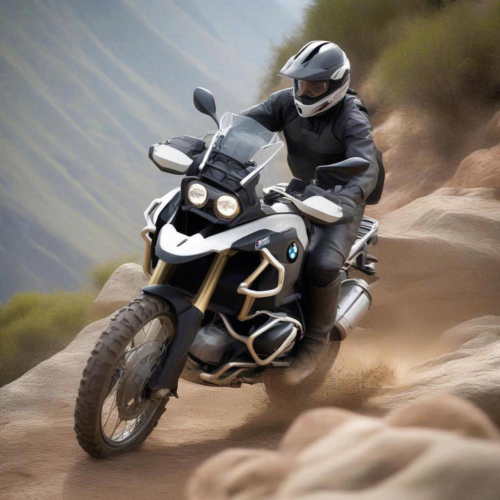 BMW R1200GS Boxer Off-road