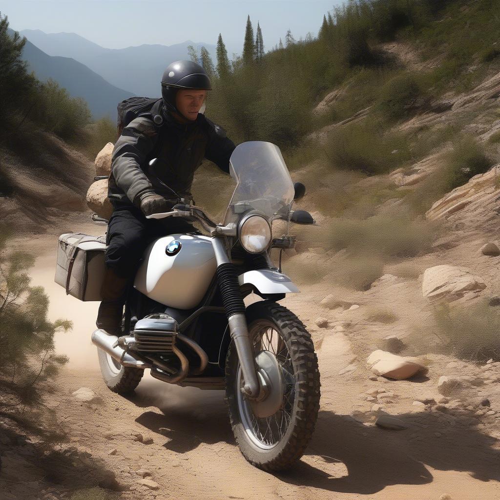 BMW R75/6 Off-road