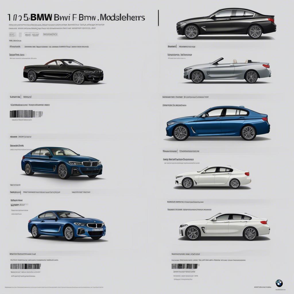 BMW Ranking Theo Phân Khúc Xe