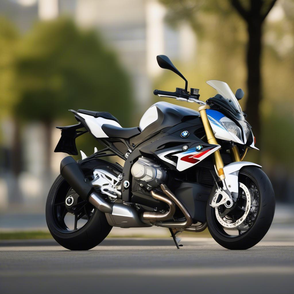 BMW S1000R 2014 Ngoại Hình