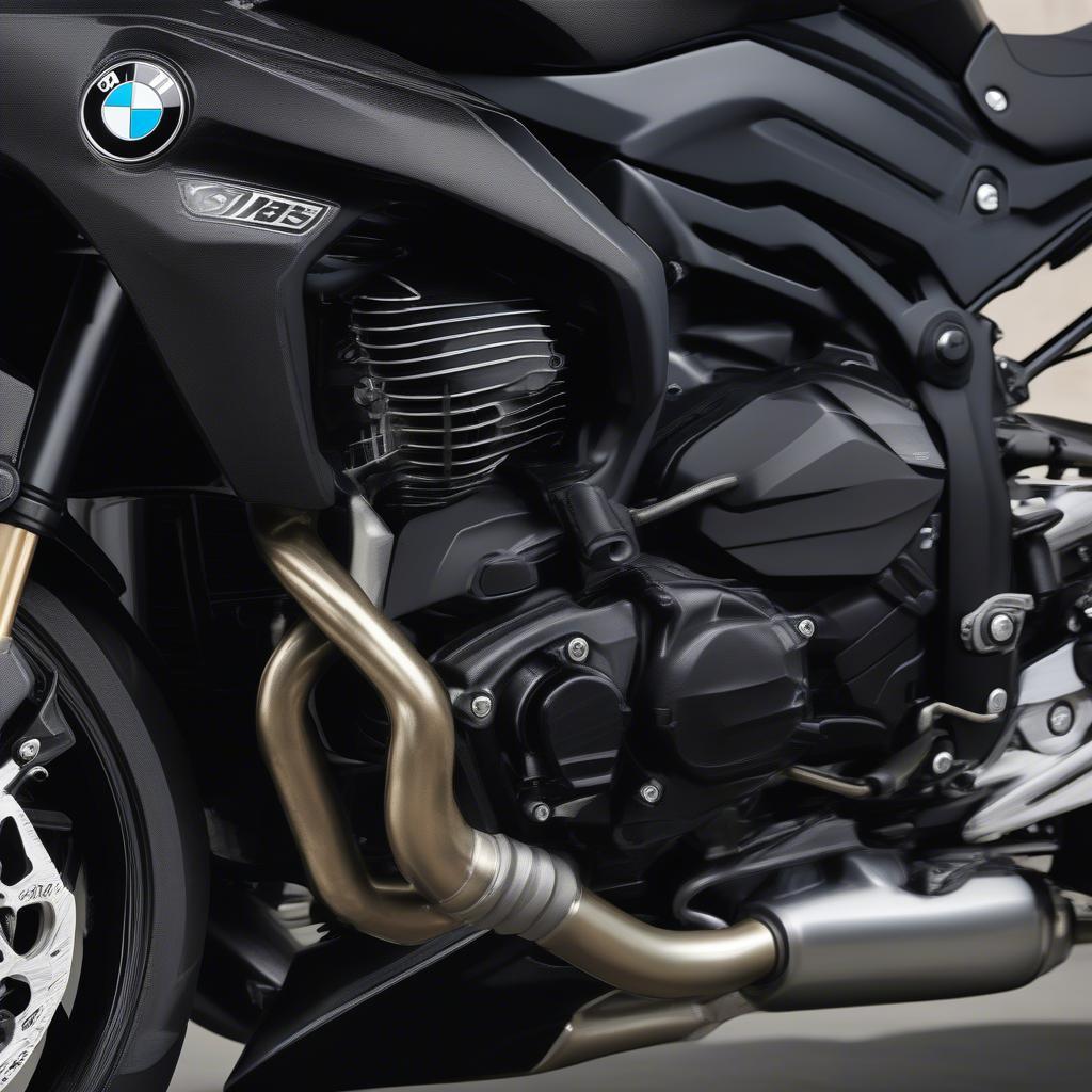 Động cơ BMW S1000R 2018 Đen