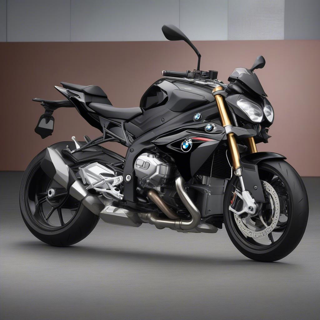 Thiết kế BMW S1000R 2018 Đen