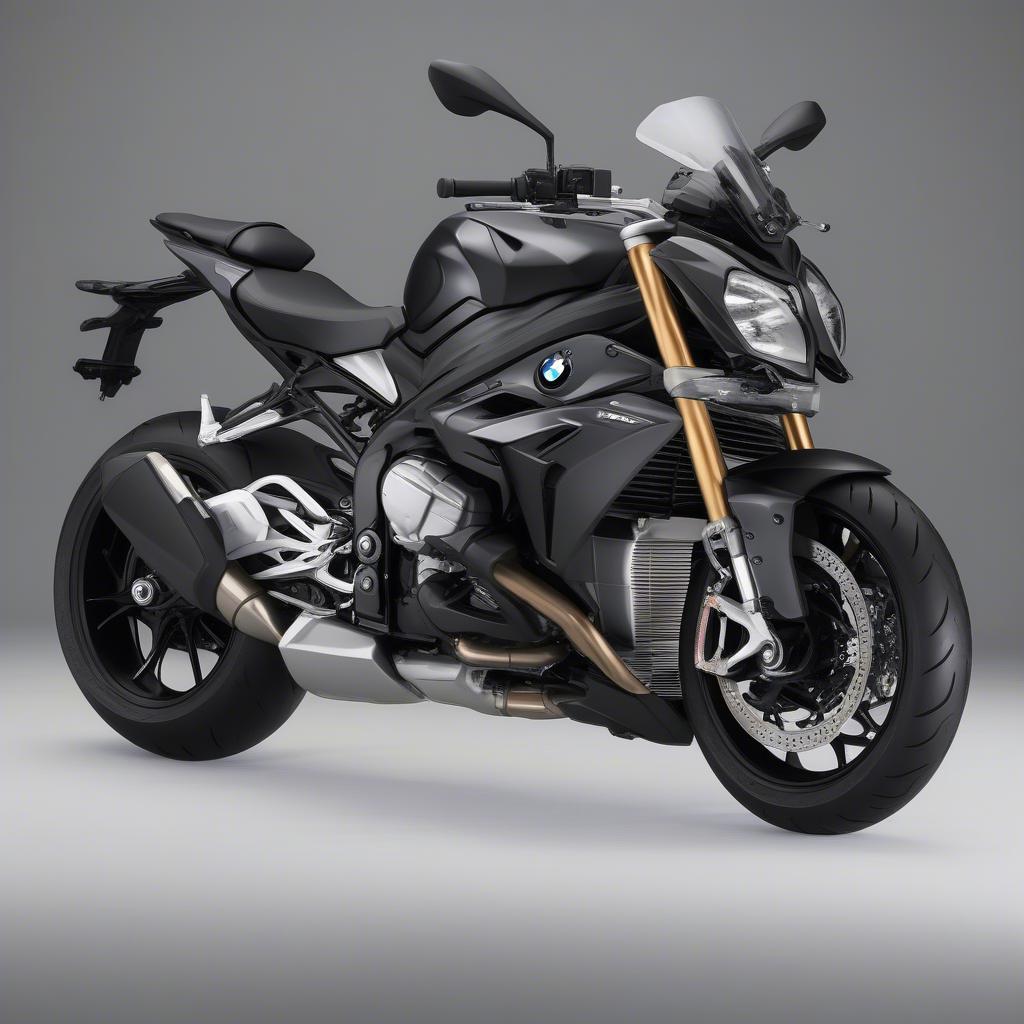 Thiết kế BMW S1000R 2019 Black Storm Metallic