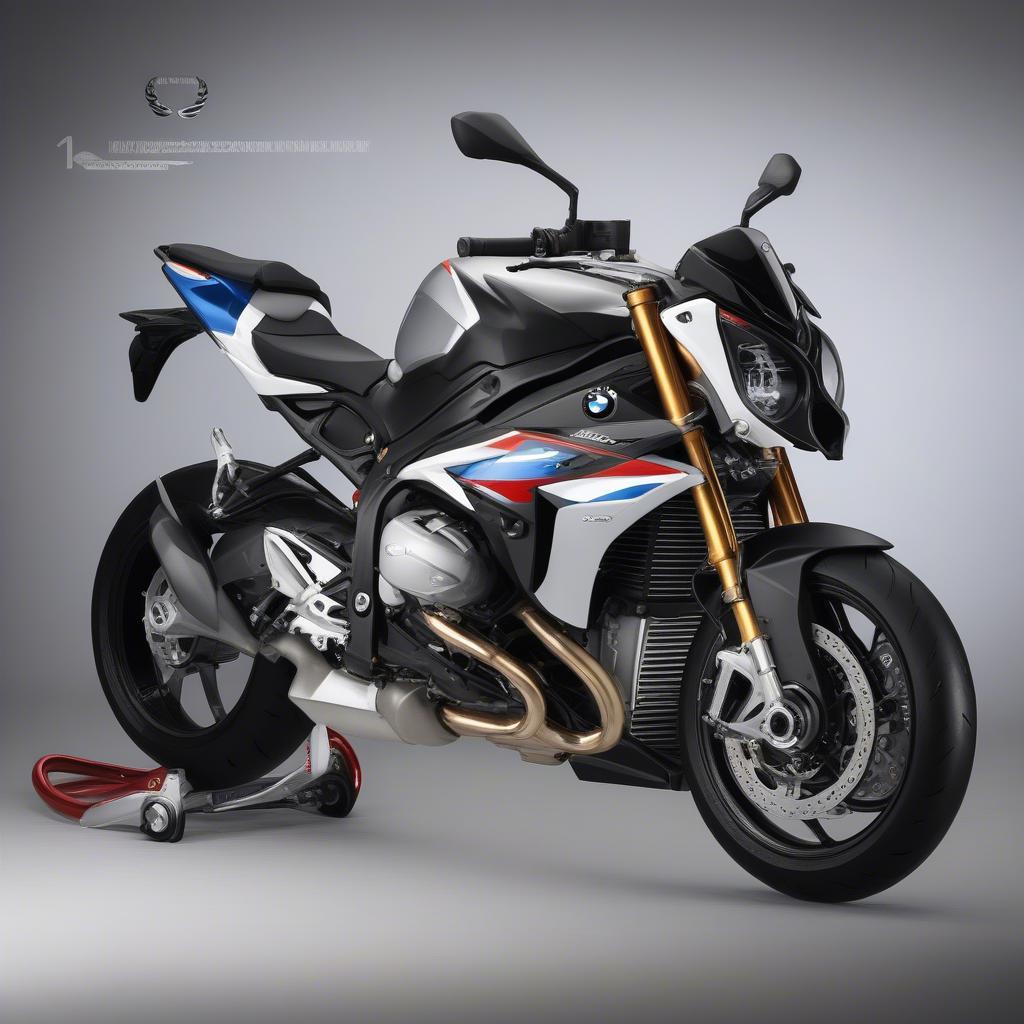 BMW S1000R Độ Xe Cá Tính