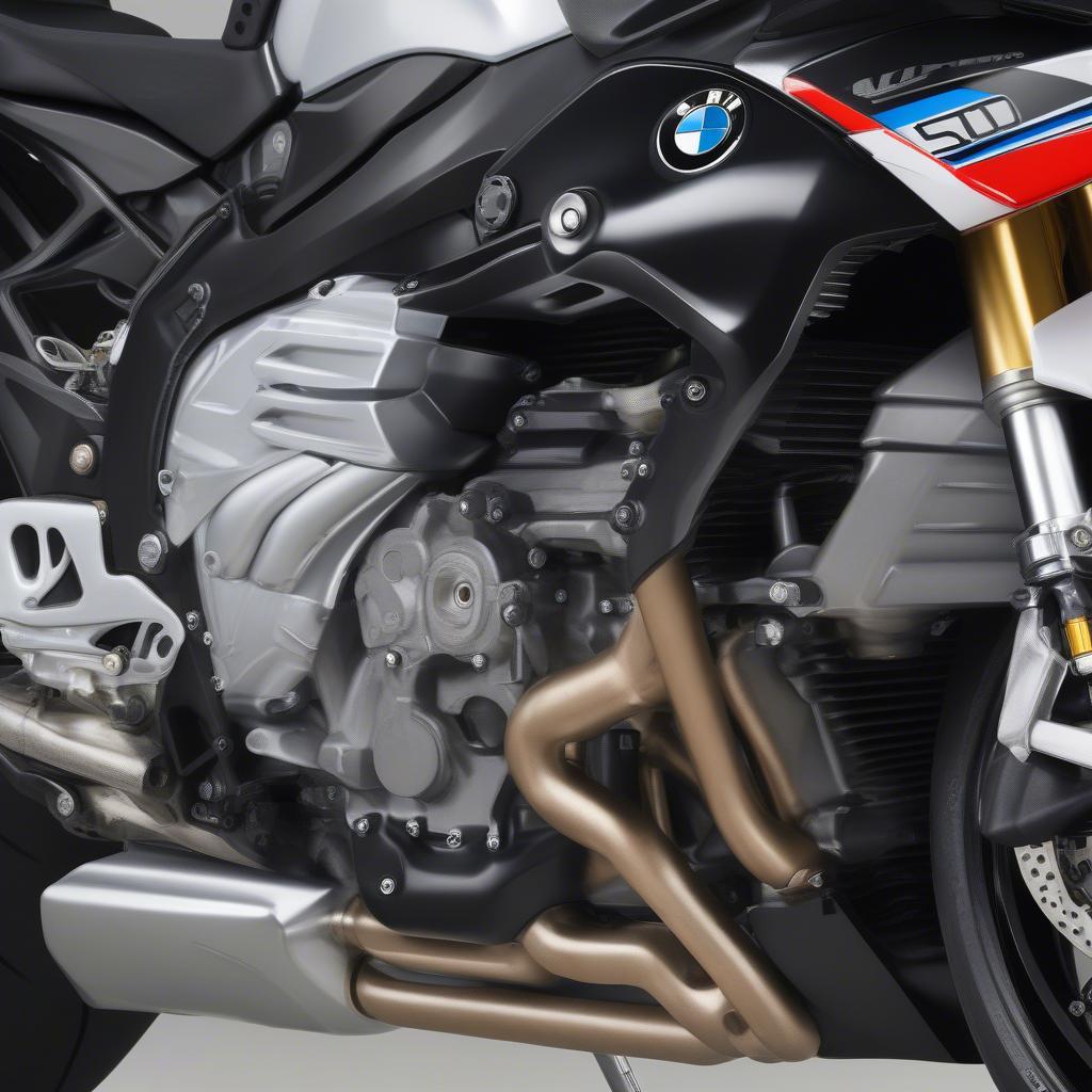 Động cơ BMW S1000RR 2010