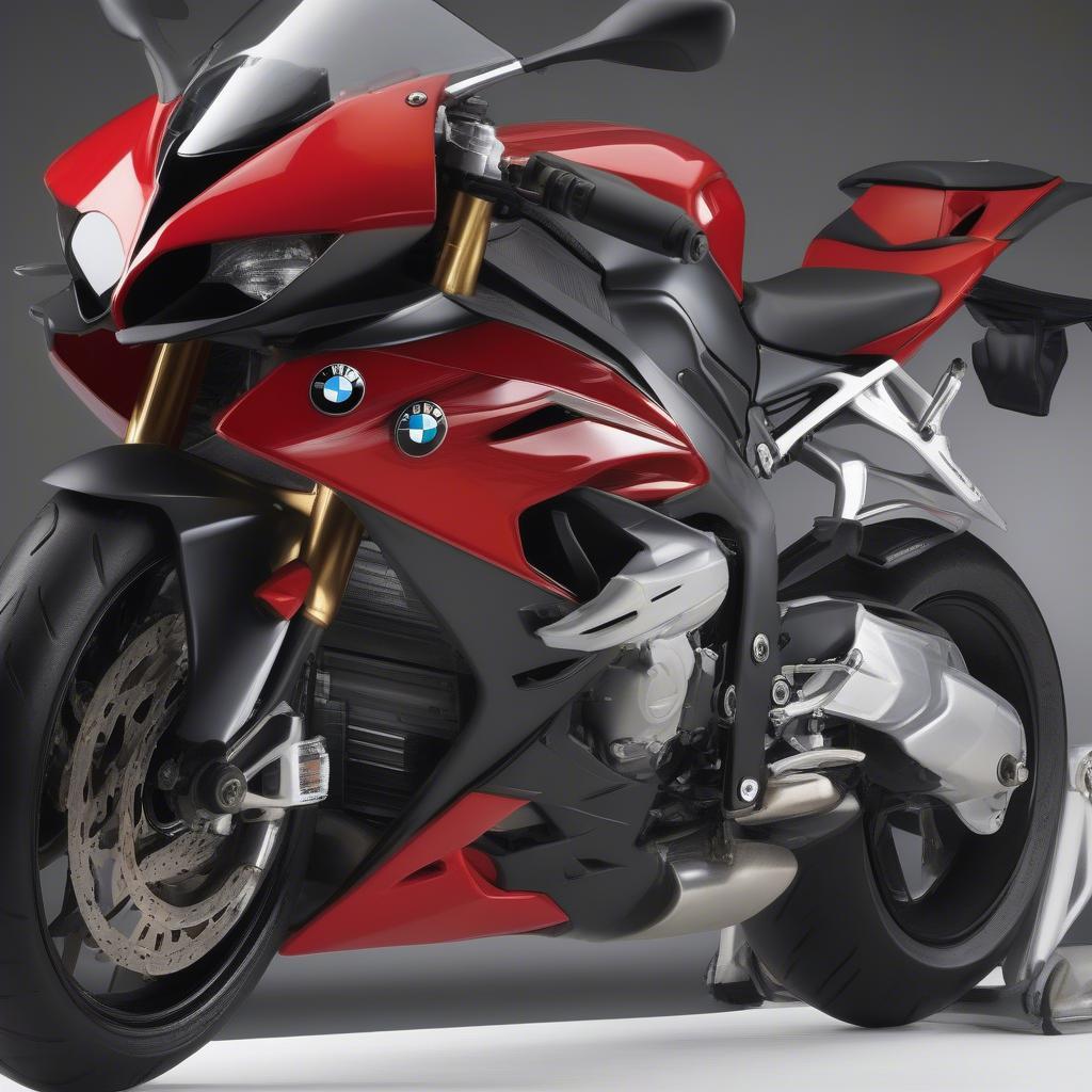 BMW S1000RR 2010 màu đỏ mạnh mẽ