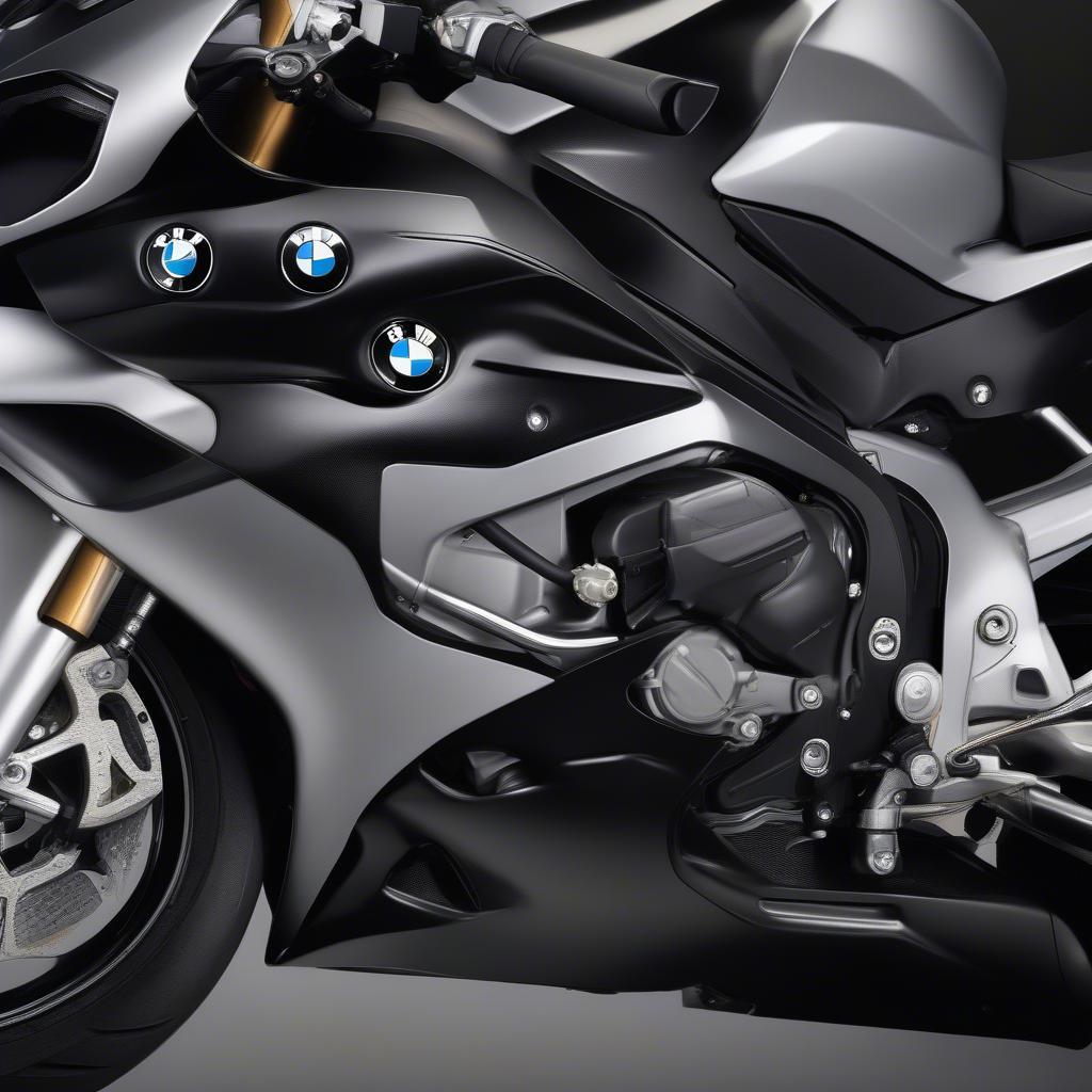 BMW S1000RR 2011 Black Ngoại Hình