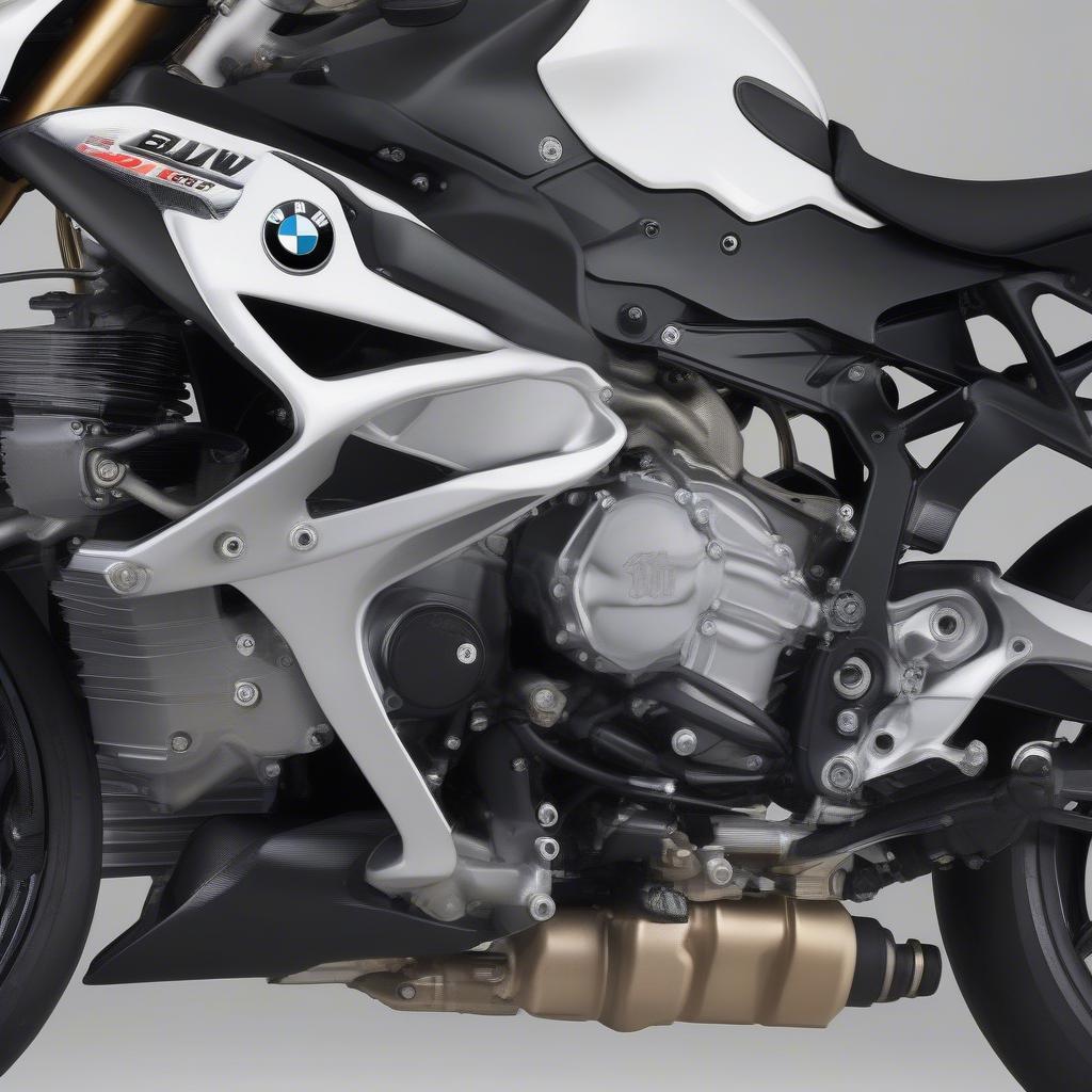 Động cơ BMW S1000RR 2011