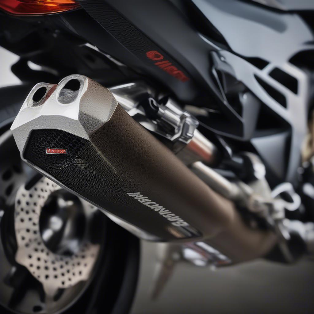 BMW S1000RR 2018 Độ Pô Xe Akrapovic