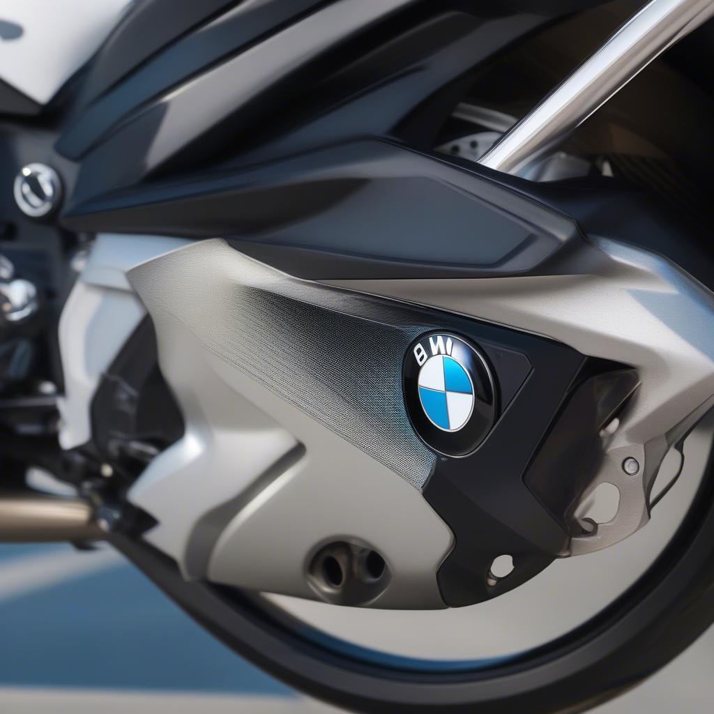 Hình ảnh cận cảnh logo BMW S1000RR