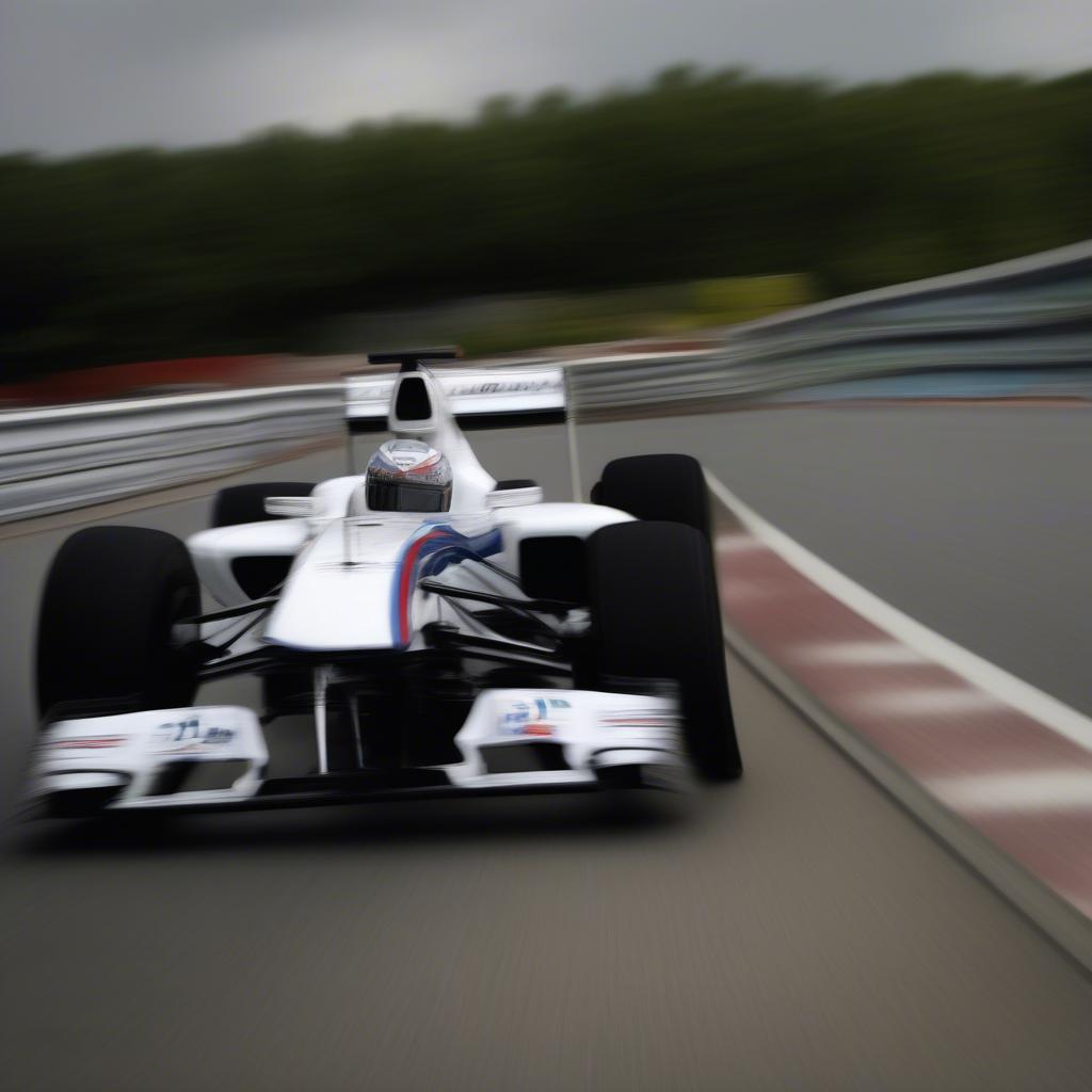 BMW Sauber F1 2009 trên đường đua