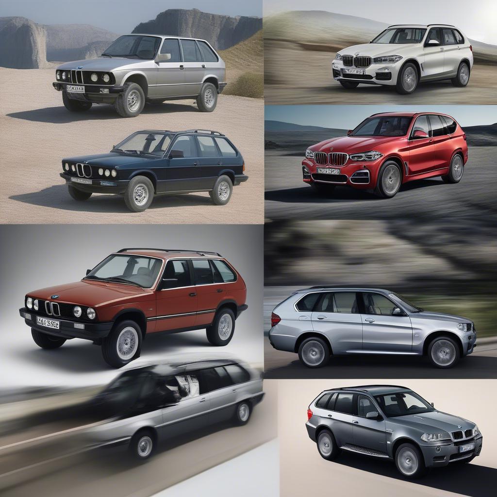 Sự phát triển của BMW SUV từ 1990 đến nay